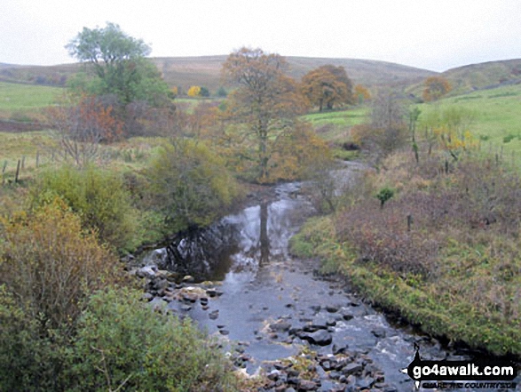 The River South Tyne wearing it's autumn coat from near Hole House Farm