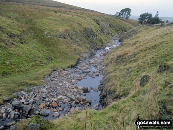 The River South Tyne above Hole House Farm