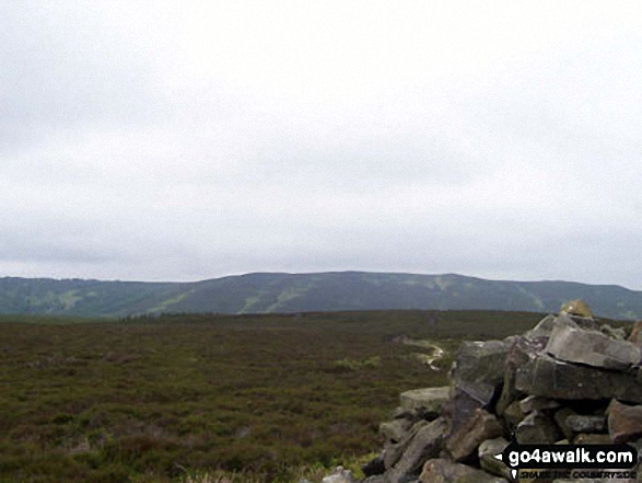 Walk n136 Long Crags from Thrunton Wood - Hard Nab summit cairn