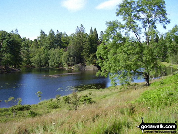 Walk c229 Tarn Hows, Oxen Fell High Cross and Low Tilberthwaite from Tarn Hows - Tarn Hows