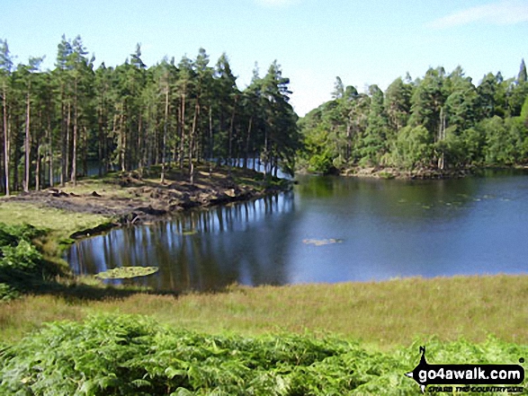 Walk c229 Tarn Hows, Oxen Fell High Cross and Low Tilberthwaite from Tarn Hows - Tarn Hows