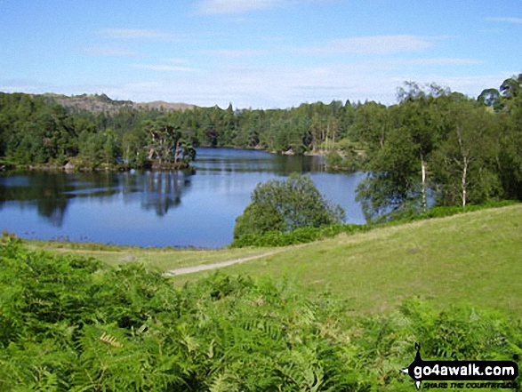 Walk c229 Tarn Hows, Oxen Fell High Cross and Low Tilberthwaite from Tarn Hows - Tarn Hows