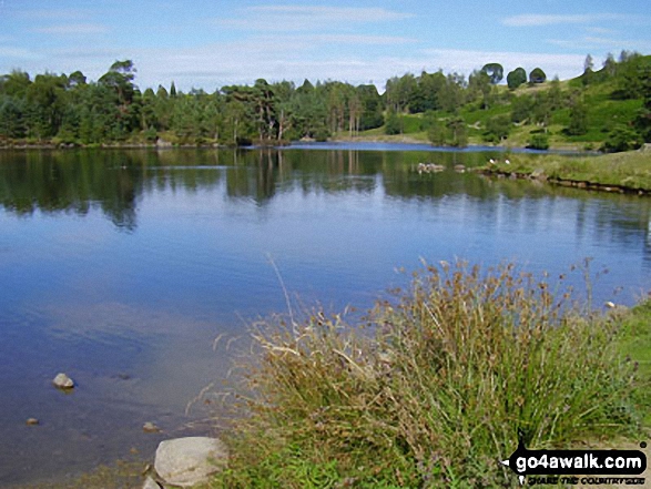 Walk c353 Holme Fell, Black Fell (Black Crag) and Tarn Hows from Tom Gill - Tarn Hows