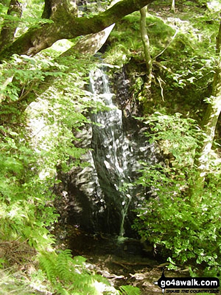 Walk c353 Holme Fell, Black Fell (Black Crag) and Tarn Hows from Tom Gill - Tom Gill Waterfall, Tarn Hows