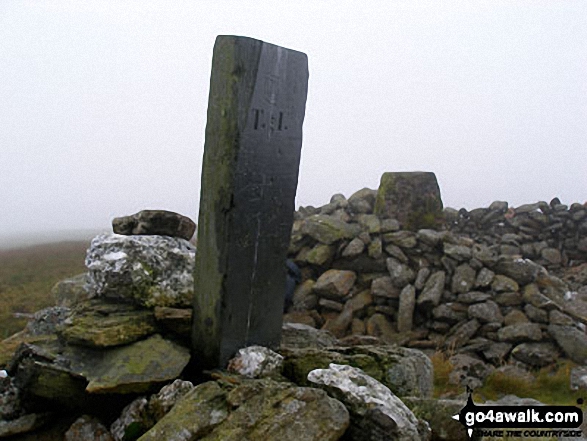 Walk gw104 Carnedd y Filiast and Arenig Fach from Llyn Celyn - Carnedd y Filiast (Arenigs) summit