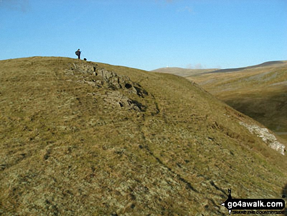 Brownber Hill summit