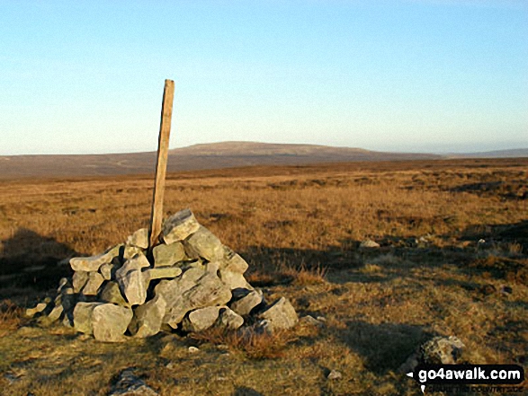 Backstone Edge (Dufton Fell) summit