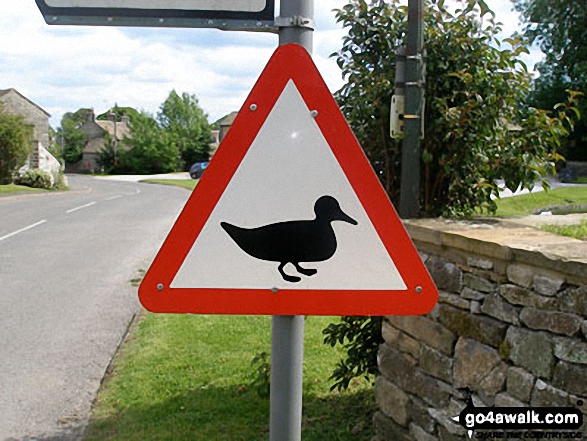 Walk d111 Foolow, Abney and Bretton from Eyam - Beware - Ducks! sign in Foolow