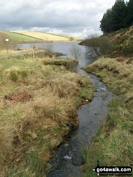 Walk l100 Pendle Hill from Barley - On the Pendle Way  crossing the Inlet stream feeding Lower Ogden Reservoir