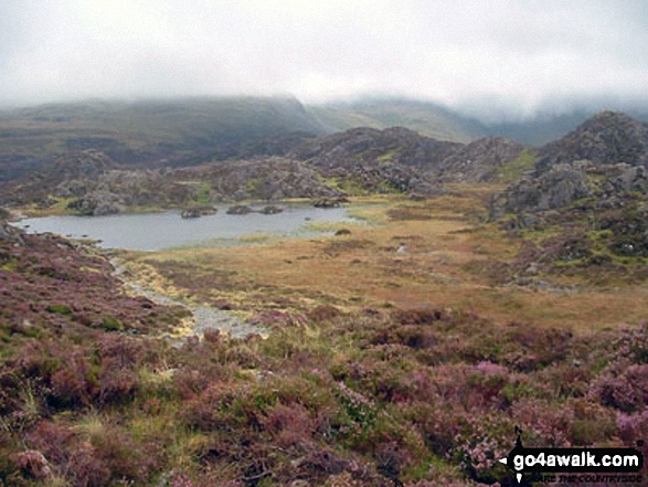 Walk c456 Fleetwith Pike, Hay Stacks, Brandreth and Grey Knotts from Honister Hause - Innominate Tarn on Hay Stacks (Haystacks)