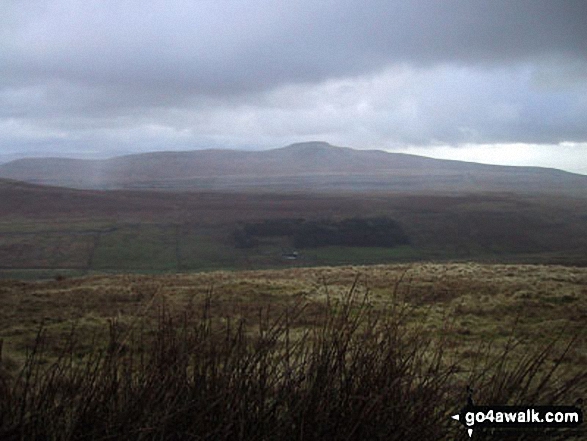 Walk ny129 Gragareth and Great Coum from Leck Fell House - Ingleborough from Gragareth