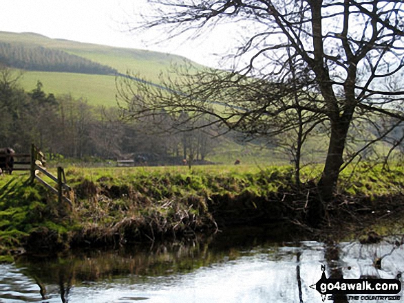 Walk bo124 Hownam Law from Morebattle - Crossing Kale Water on St Cuthbert's Way