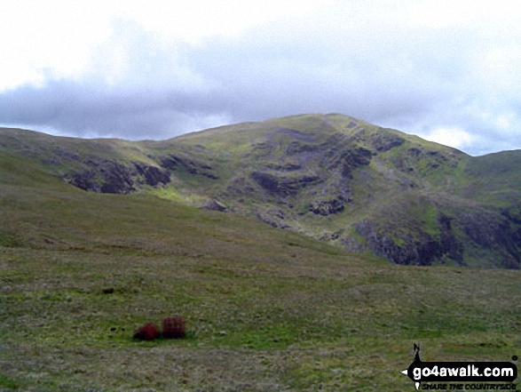 Plynlimon (Pen Pumlumon Fawr) from Pen Cerrig Tewion