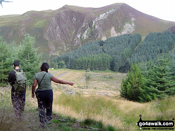 Approaching the gorge of Craig y Pistyll