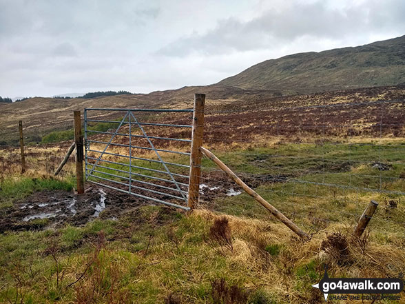 Gate in a 2nd deer fence on the way down from Beinn Resipole