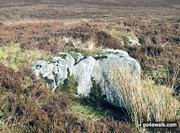 Walk gw120 The Western Berwyns from Hirnant Pass - The summit of Foel Cedig