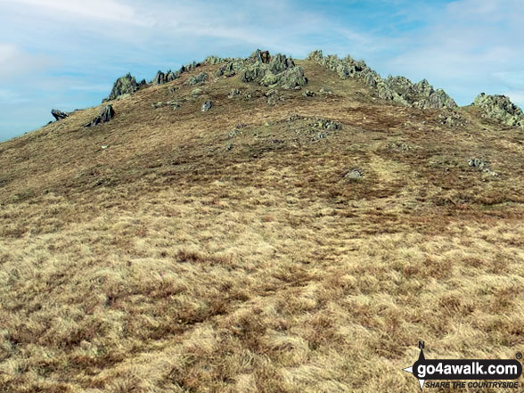 Walk gw145 Pen y Boncyn Trefeilw and Foel Cedig from Hirnant Pass - The summit of Gyrn Wigau