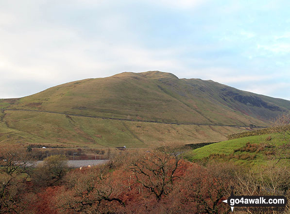 Walk c180 The Howgills from Low Carlingill Bridge - Grayrigg Forest from Carlingill Bridge