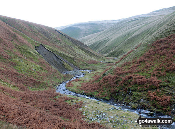 Walk c180 The Howgills from Low Carlingill Bridge - Carlin Gill