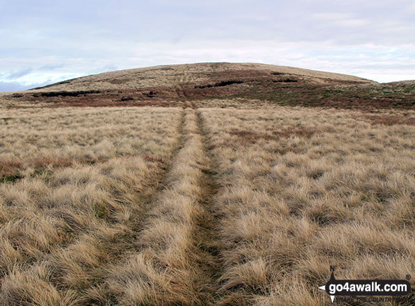 Walk c437 Uldale Head (Howgills) and Carlingill Spout from Carlingill Bridge - Approaching the summit of Uldale Head