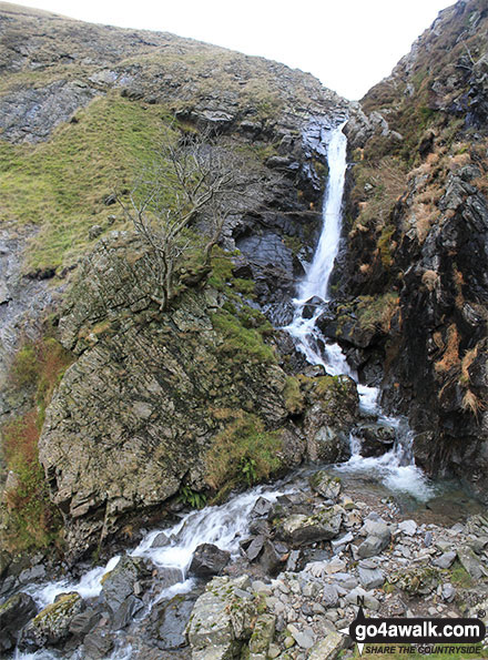 Walk c180 The Howgills from Low Carlingill Bridge - Carlingill Spout waterfall