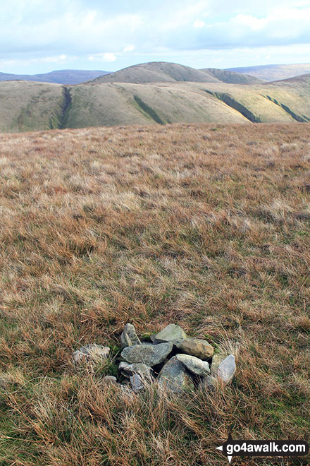 Walk c180 The Howgills from Low Carlingill Bridge - The small cairn on the summit of Simon's Seat (Howgills)