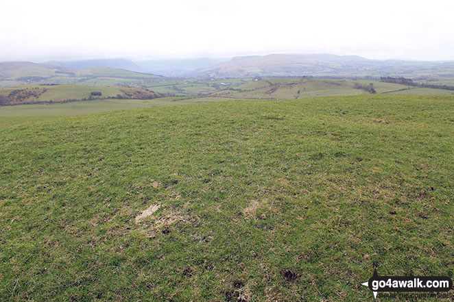 The unmarked summit of Watch Hill (Cockermouth)