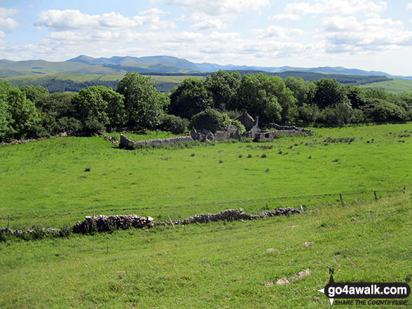 Walk c361 Clints Crags from Blindcrake - The ruins of Thackray cottage