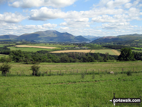 Walk c361 Clints Crags from Blindcrake - The Skiddaw massif from Thackray Wood