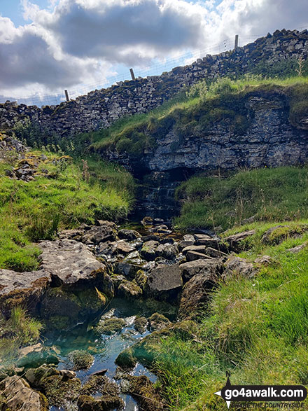 Walk ny146 High Green Field Knott (Cosh Knott) from Horton in Ribblesdale - Cosh Water Gap