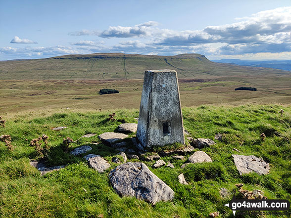 Trig Point on High Green Field Knott with Plover Hill and Pen-y-ghent in the background