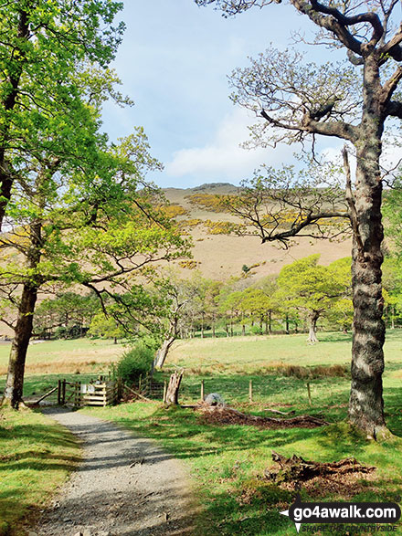 Walk c263 The High Stile Ridge from Buttermere - Rannerdale Knotts from Crummock Water, Buttermere