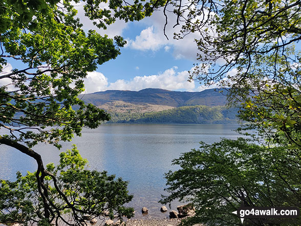 Bleaberry Fell from Victoria Bay, Derwent Water