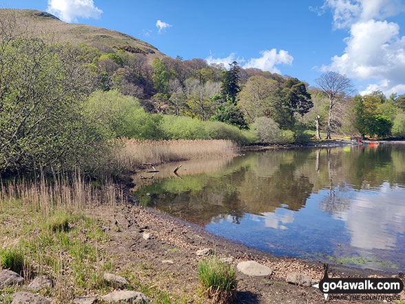 Walk c201 Ashness Bridge and Walla Crag from Keswick - Brandelhow Bay, Derwent Water