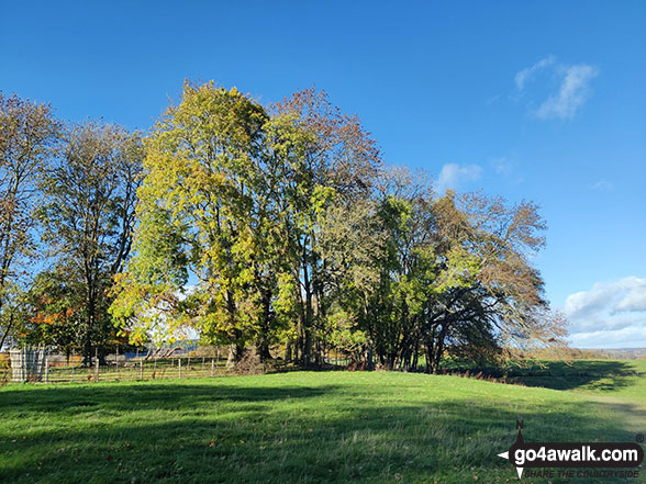 Photo of Autumn views from Chirk Castle in The Clwydian Hills, Wrexham, Wales by Marc Davidson (7)
