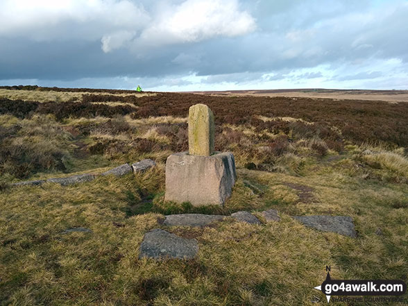 Walk d261 Totley Moor from Longshaw Country Park - Lady's Cross (White Edge Moor)