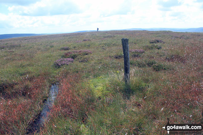 Whetstone Ridge Photo by Michael Davidson