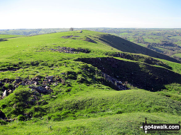 Top of Ecton from Ecton Hill