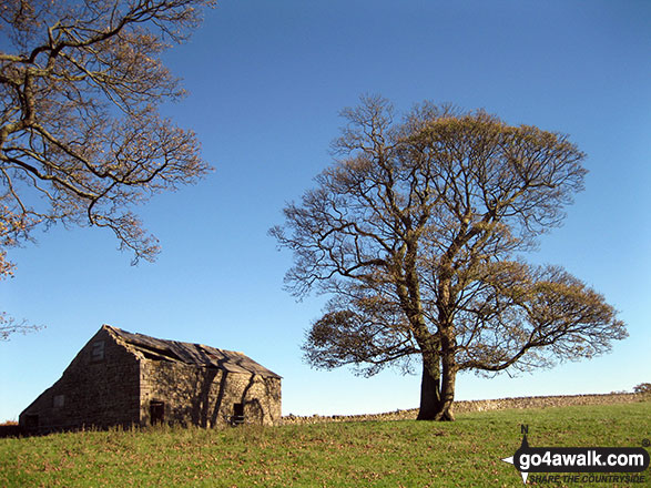 Walk s156 Wolfscote Dale, Ecton Hill, Wetton Hill, Wetton and Alstonefield from Milldale - Dilapidated Barn, Back of Ecton