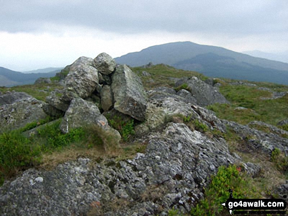 Dduallt (Arenigs) summit cairn