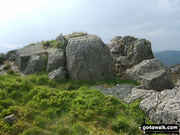 The summit of Rhobell-y-big