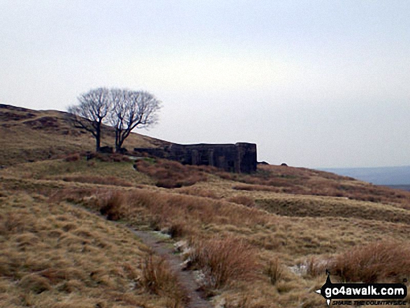 Withins, Haworth Moor