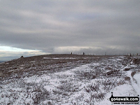 Walkers on Bolt's Law