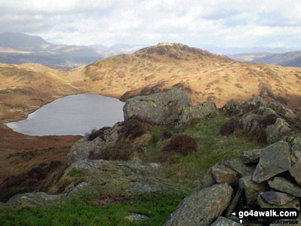 Beacon Tarn and Beacon (Blawith Fells) from Wool Knott