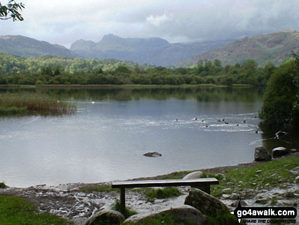 Walk c274 Loughrigg Fell from Elterwater - The Langdale Pikes from Elter Water