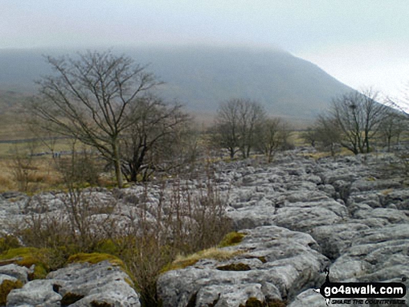 Walk ny154 Ingleborough and the Ingleton Waterfalls from Ingleton - Ingleborough in mist beyond Limestone Pavement in Chapel-le-Dale