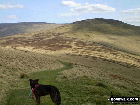 Walk The Schil walking UK Mountains in  Northumberland National Park NorthumberlandThe Borders, EnglandScotland