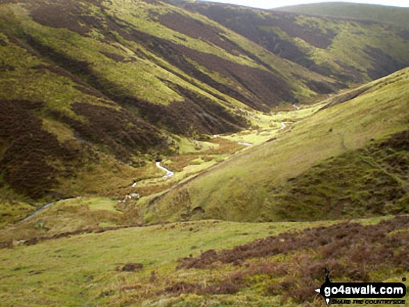 Glendyne Burn from Willowgrain Hill