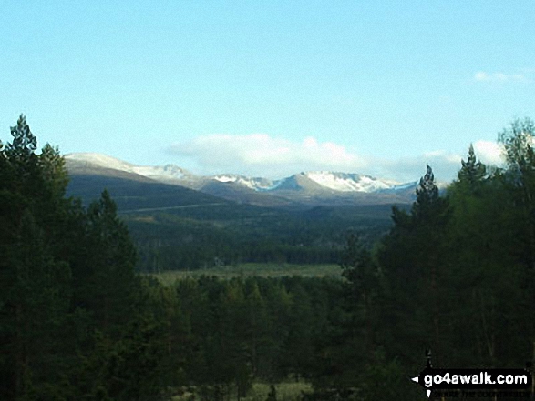 Early Morning in The Cairngorms from near Ryvoan Bothy