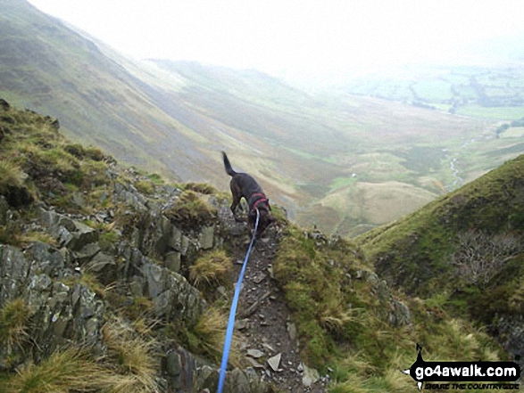 Bruno above Cautley Spout